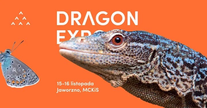 Obrazek przedstawia grafikę promocyjną wydarzenia Targi terrarystyczne i botaniczne w Jaworznie — Dragon Expo