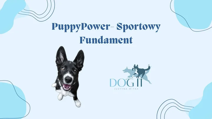 Grafika promocyjna wydarzenia PuppyPower – Sportowy Fundament: kurs dla szczeniaka, który ma i ogon, i cel