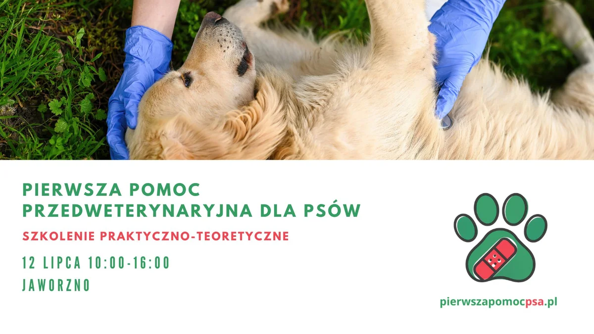 Grafika promocyjna wydarzenia Szkolenie z pierwszej pomocy dla psów w Jaworznie z Pierwsza Pomoc Psa